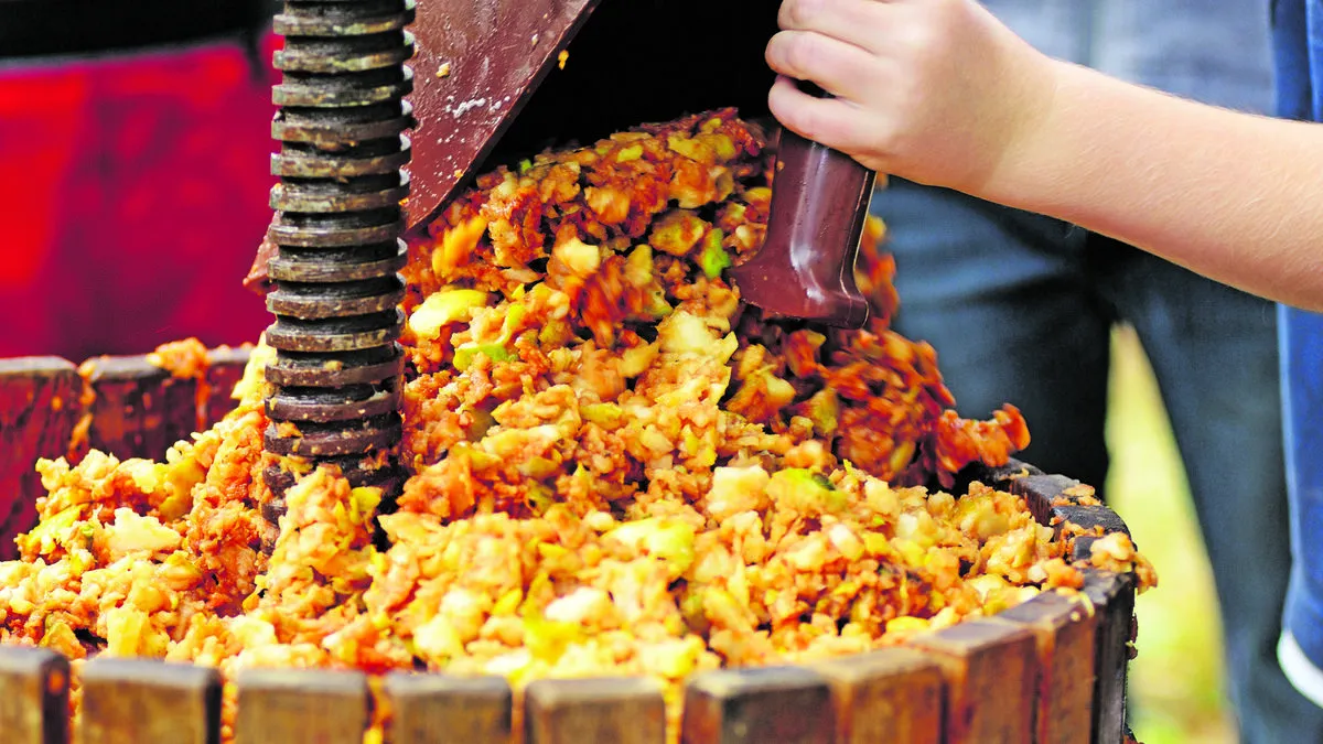 „Die Qualität kommt aus dem Garten“ lautet jener Satz, der den wichtigsten Punkt bei der Erzeugung von Most  beinhaltet