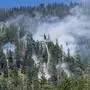 Die Besatzungen mehrerer Hubschrauber unterstützten am Wochenende die Feuerwehr bei der Bekämpfung des Waldbrandes
