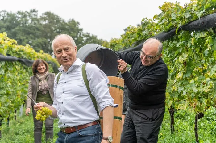 Auch den rund acht Hektar großen bischöflichen Weingut wachsen die Sorten Grau- und Weißburgunder, Welschriesling, Sauvignon blanc, Muskateller, Zweigelt und Riesling...