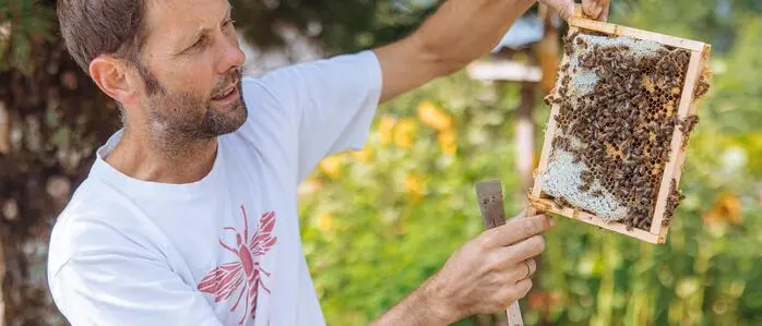 Arno Kronhofer ist mit der heurigen Honigernte hoch zufrieden