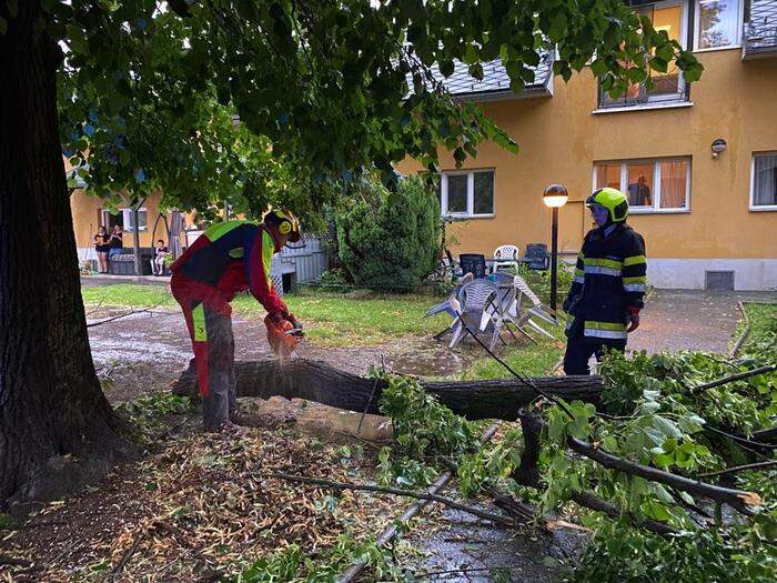 In Deutschfeistritz stürzte ein Baum in einer Wohnsiedlung um – 37 Mann im Einsatz