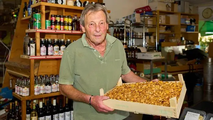 Walter Gasser mit einer Steige Eierschwammerl aus Bad Eisenkappel