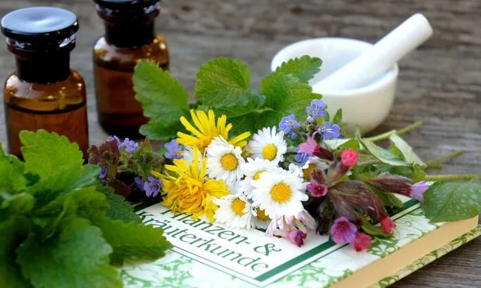 Die BaBlü® Akademie ist mit über 150 Ausbildungen in 12 Fachbereichen an 4 Standorten eines der führenden Ausbildungsinstitute in Österreich