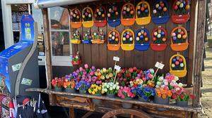 Holland im Frühling - ein Tulpenmeer, ganrjährig gibt es die Tulpen aus Holz