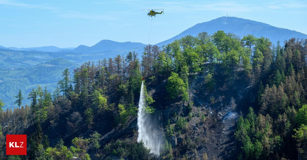 Waldbrand-Experte-fordert-L-schteiche-in-steirischen-W-ldern