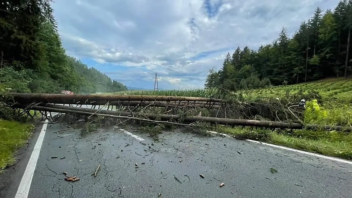 Umgefallene Bäume blockierten mehrere Straßen