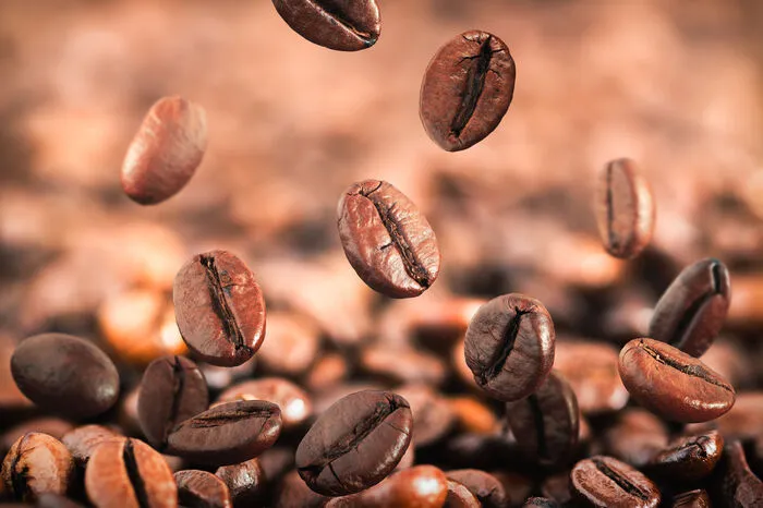 Die ganze Bohne. Falls die Möglichkeit besteht, den Kaffee selbst zu mahlen, sollte immer die ganze Bohne gekauft werden. Denn Sauerstoff ist der Aromakiller Nummer 1! Bei Kaffee handelt es sich um ein Frischeprodukt, das im Laufe der Zeit an Aroma verliert. Gemahlener Kaffee tut dies noch schneller.