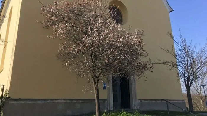 Die Schlosskirche St. Martin 