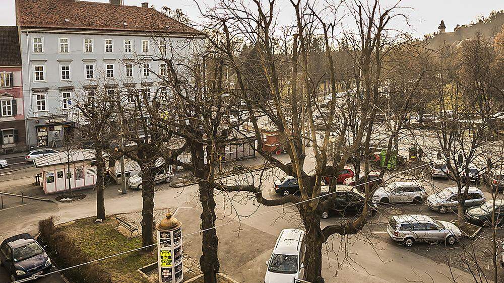 Der Grazer Geidorfplatz wird "aufgeräumt"