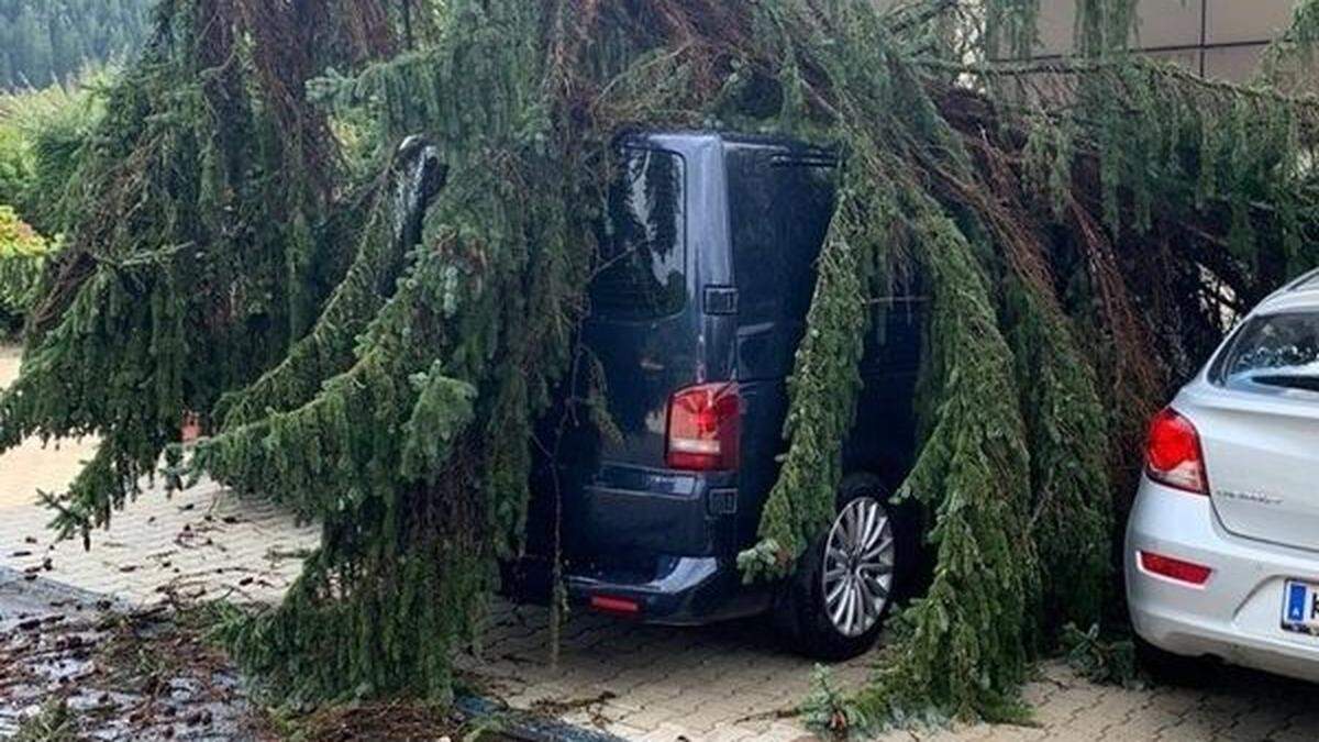 Am Parkplatz der Bezirkshauptmannschaft Murtal stürzte ein Baum auf einen Pkw