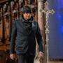 Gottfried Helnwein hat das diesjährige Fastentuch für den Stephansdom gestaltet