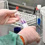 Schon früh nach Beginn der Pandemie war die Theorie aufgetaucht, das Corona-Virus könnte aus dem Labor entwichen sein