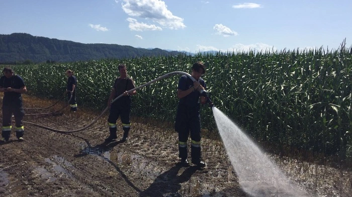Sieben Feuerwehren standen Sonntagnachmittag im Osten von Klagenfurt im Einsatz . . .