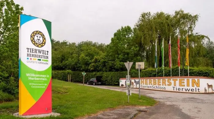 Ruhig genossen die Tiere, von den Blutbrustpavianen bis zu den Zebras, die ersten Besucher nach der zweimonatigen Pause