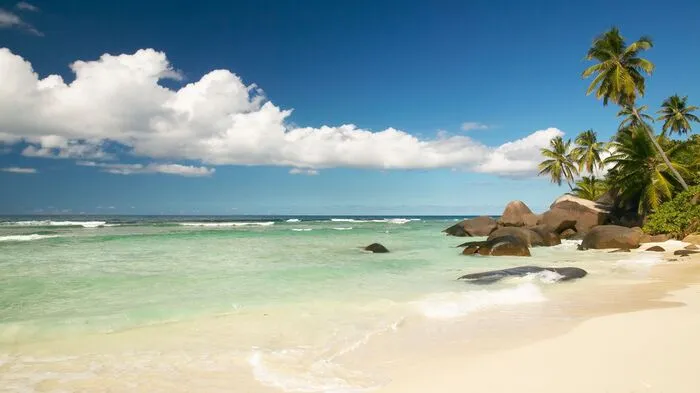 Silhouette Island: Üppige Natur und kreolische Architektur. Die nordwestlich von Mahé gelegene Silhouette Island ist die drittgrößte Insel der Seychellen und ein wahres Naturerlebnis. Ganz ohne Straßen, Autos und Landebahnen ist sie bequem per Schnellfähre erreichbar. Hier befinden sich puderzuckerfeine Sandstrände und dicht bewachsener Dschungel nebeneinander. Naturliebhaber erklimmen das 780 Meter hohe Gebirge des Nationalparks, entdecken Pflanzen und Vögel und genießen den Ausblick. Der Hauptstrand La Passe bietet ideale Bedingungen zum Schnorcheln, Schwimmen und Entspannen. Das Wasser ist bei Ebbe sehr flach – ideal für Familien mit Kindern. Gäste des Hilton Labriz Resorts und der La Belle Tortue Lodge haben diesen Traumstrand sogar direkt vor der Tür. Ursprünglich bauten die Bewohner der Insel Zimt, Kokosnussbäume und Kaffee an. Daran erinnert heute noch das frühere Plantagenhaus, ein Vorzeigemodel der typischen kreolischen Architektur aus dem 19. Jahrhundert.