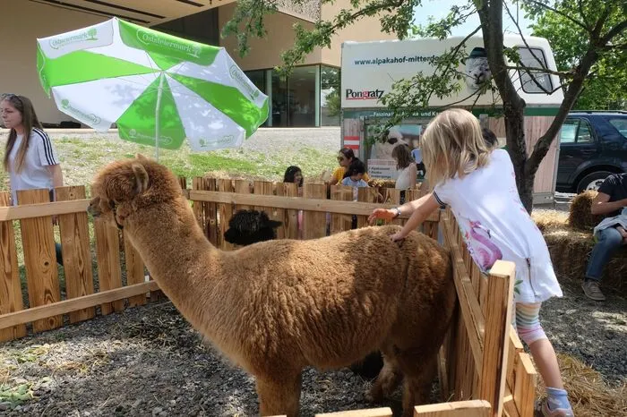 Auch für Kinder gab es jede Menge zu entdecken.