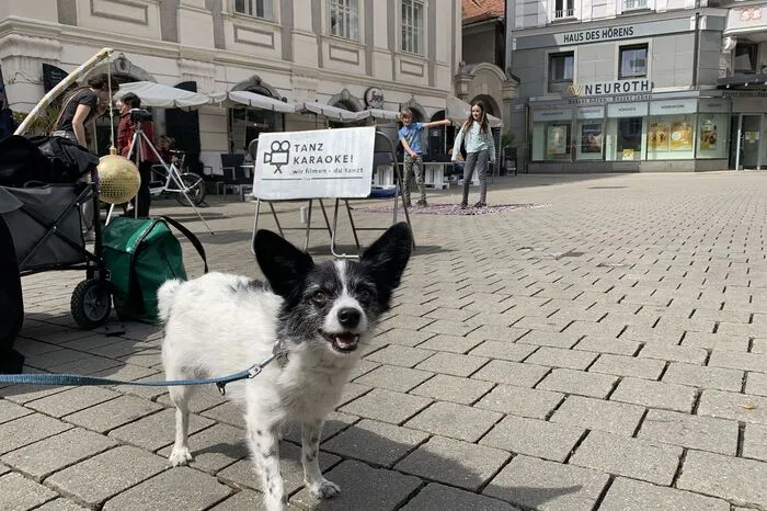 Es gab auch so manchen Dogdance ...