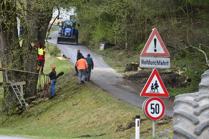 Für den Besitzer Franz Schleifer ist es eine Erleichterung, da die Äste und der Hauptstamm im Inneren faul und morsch waren.