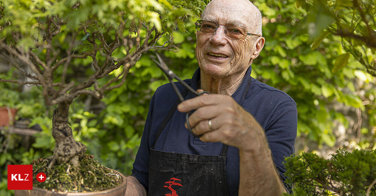 Alles Bonsai, die groe Kunst der kleinen Naturschnheiten