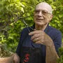 Detlef Mostler, Präsident der Österreichischen Bonsaifreunde