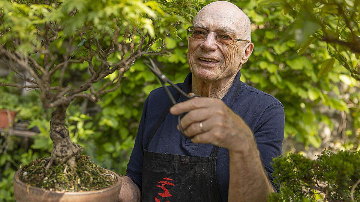 Detlef Mostler, Präsident der Österreichischen Bonsaifreunde