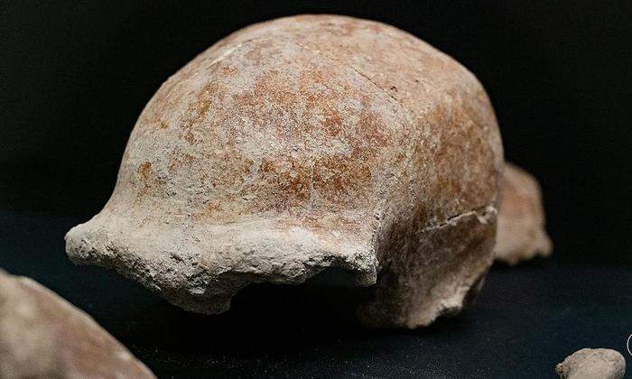 Ein weiblicher Schädel, einer der Funde aus der Guattari-Höhle 