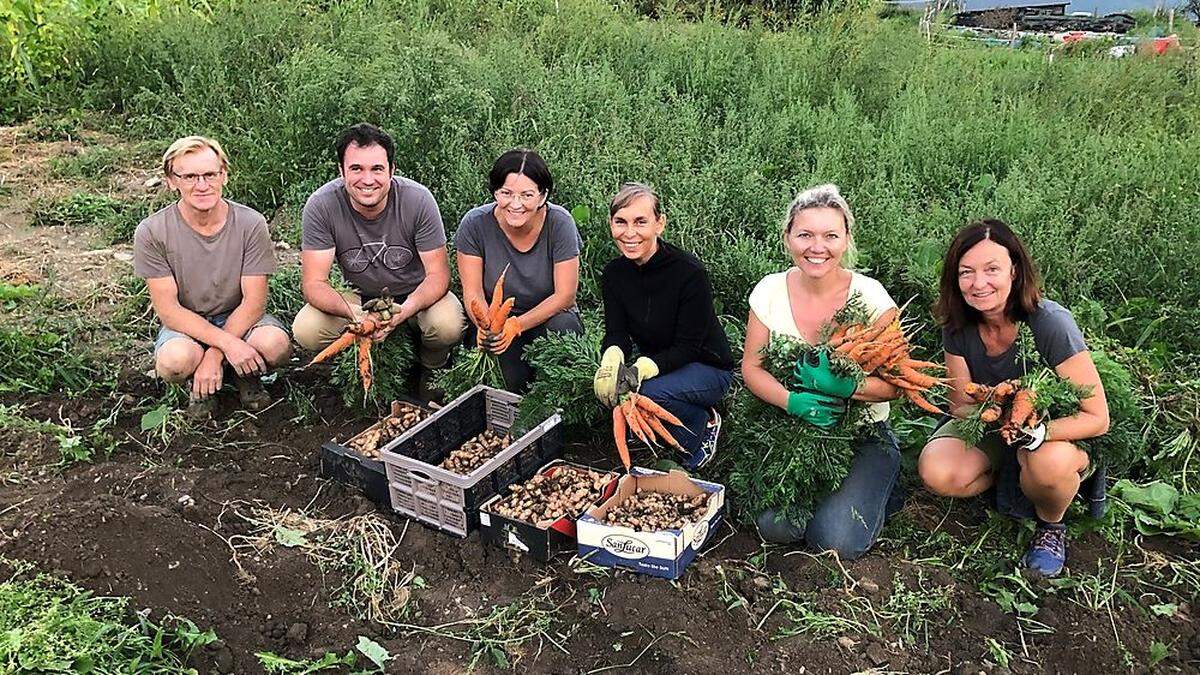 Erfolgreiche Kartoffelernte am Gemeinschaftsacker der Initiative &quot;Trofaiach - Unser Garten&quot;