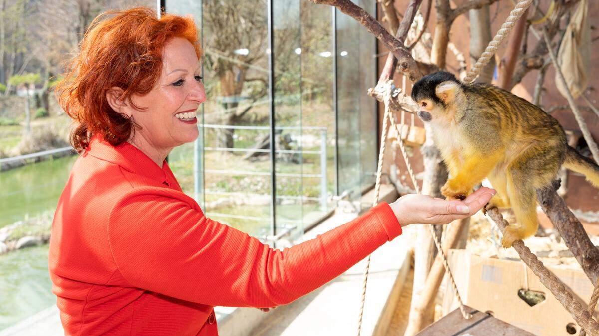 16 Jahre lang war Doris Wolker-Steinberger Direktorin der Tierwelt Herberstein