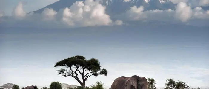 Im März nächsten Jahres geht es für 20 bis 30 Personen mit dem Klinikum-Betriebsrat zum Baden und zur Safari nach Kenia (Symbolfoto)