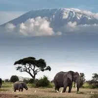 Im März nächsten Jahres geht es für 20 bis 30 Personen mit dem Klinikum-Betriebsrat zum Baden und zur Safari nach Kenia (Symbolfoto)