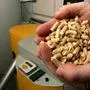 Um fast ein Drittel teurer als im Vorjahr: Holzpellets