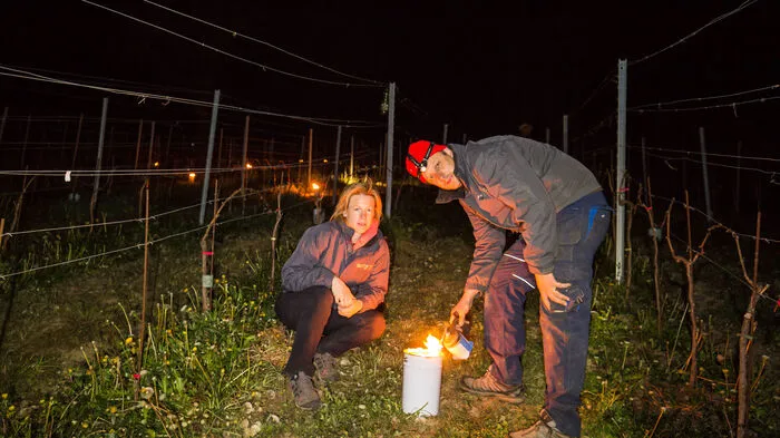 Seit der Nacht bekämpfen die Bauern den Frost mit Strohfeuern und Kerzen.