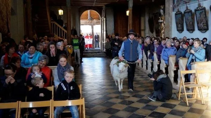 Christian Mattersberger führte den Widder in die Kirche. Nach altem Ritual wurde der Widder dreimal um den Hochaltar der Wallfahrtskirche Maria Schnee geführt