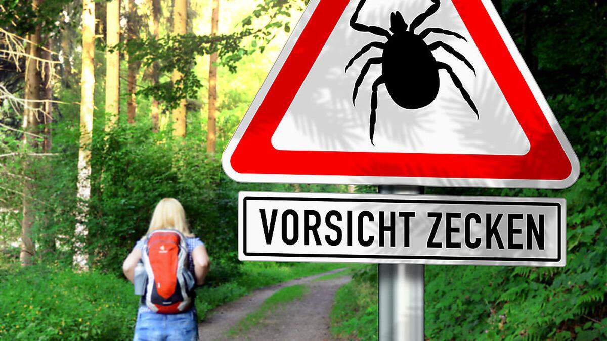 Zehntausende Borreliose-Neuerkrankungen gibt es jährlich in Österreich. Die FSME-Impfung schützt nicht	