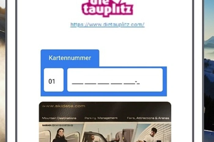 Zweiter Schritt: Nummer des Skitickets eingeben