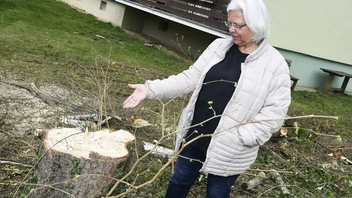 Bewohnerin Ditta Hader versteht das Vorgehen nicht: „Prachtvolle, gesunde Bäume wurden gefällt“