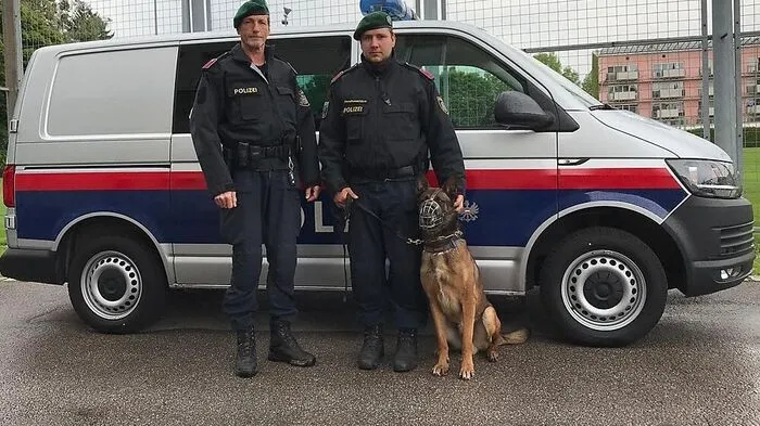 Polizeihund "Beik" mit Diensthundeführern Karl Haring und Leopold Stöger