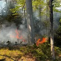 Die Trockenheit macht die Arbeit der Feuerwehr zur Herausforderung