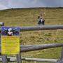 Das Urteil gegen einen Tiroler Kuhbesitzer sorgt für Aufsehen 