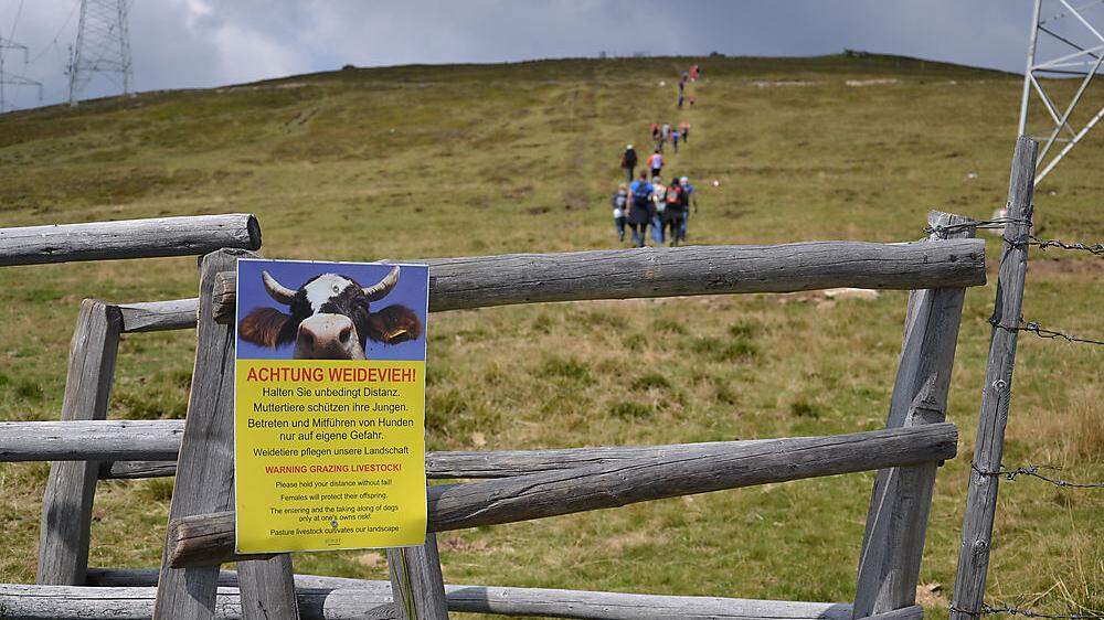 Das Urteil gegen einen Tiroler Kuhbesitzer sorgt für Aufsehen 