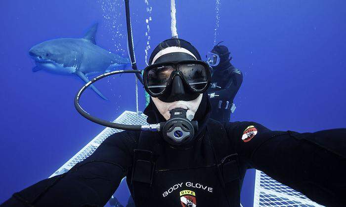 Selfie mit Hai