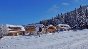 Winter Hof-Chalets