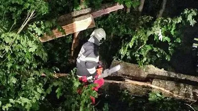 In Hainersdorf musste die Feuerwehr die Straße von umgestürzten Bäumen befreien