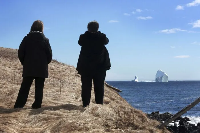 Die Eisberge ziehen direkt an der Küste Neufundlands vorbei.