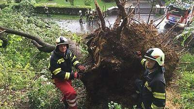 Auch am Wochenende verursachten Unwetter wieder massive Schäden 