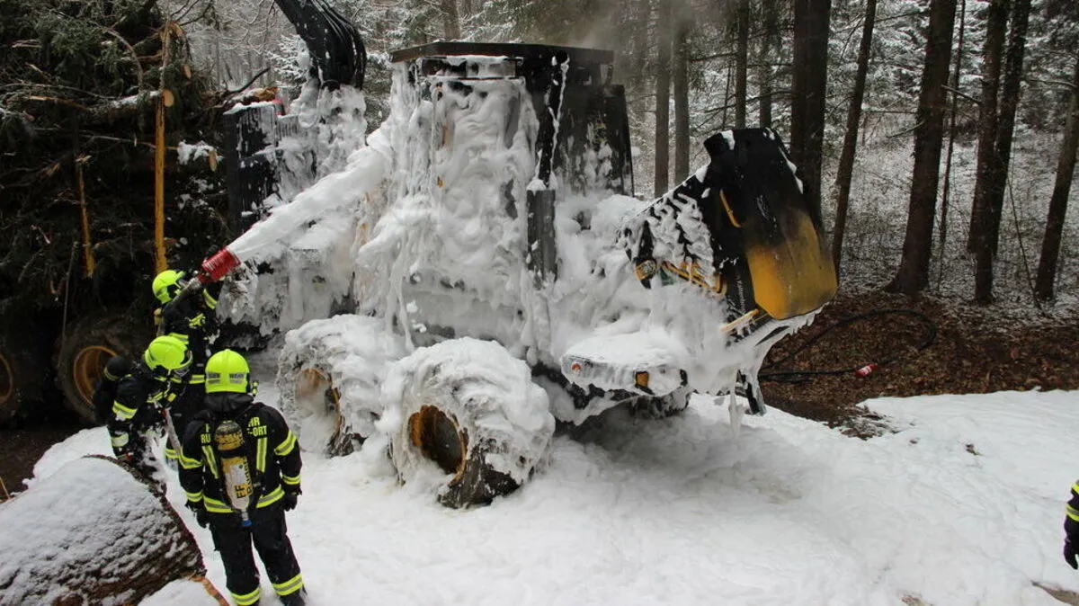 Die Feuerwehr konnte das Feuer löschen
