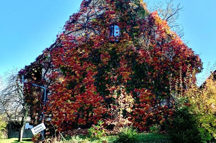 „Herbst und Sonnenschein lassen ein efeuumranktes kleines Gebäude wie ein verzaubertes Schloss wirken“, findet Waltraud Lesky.