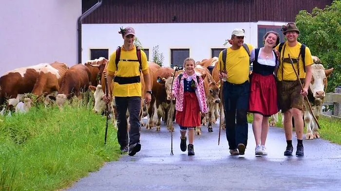 Valentina Ertl (Tochter von Dorli und Georg Ertl), haben ihr Vieh trotz Regen heil ins Tal gebracht