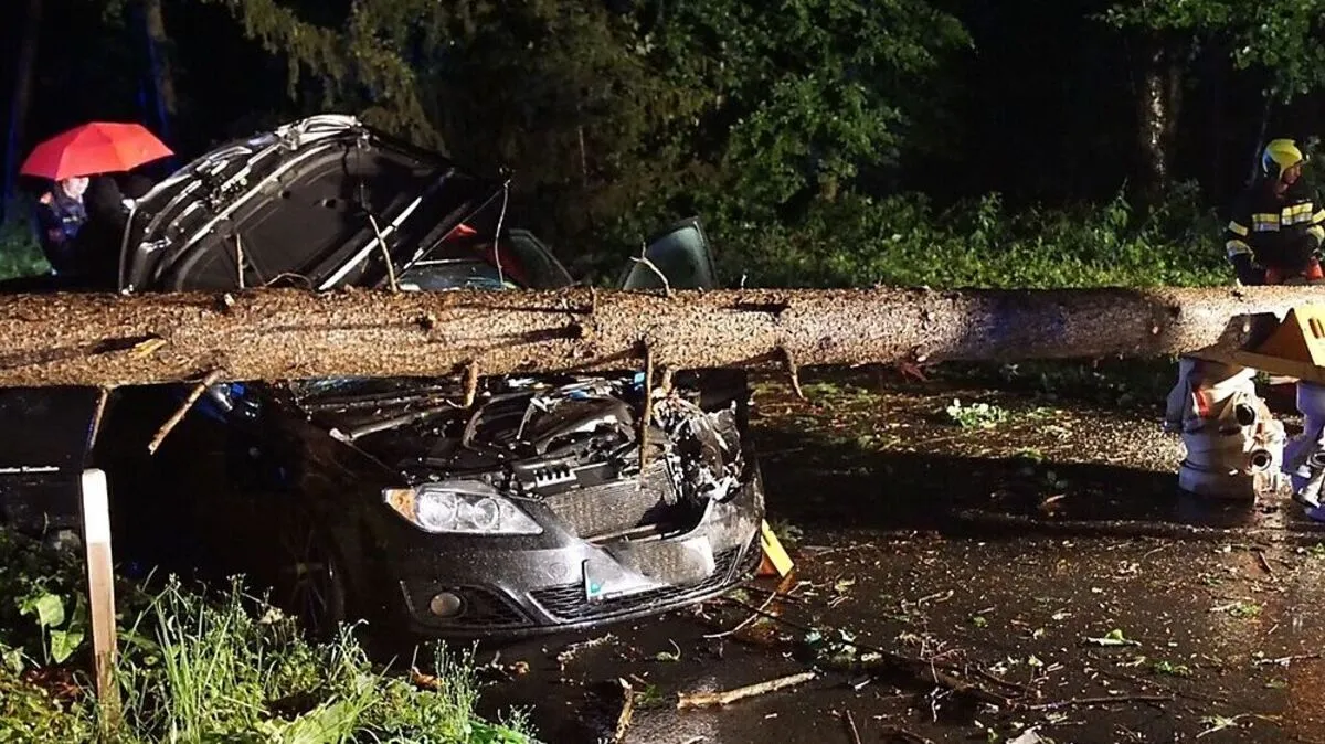 Baum fiel auf Auto