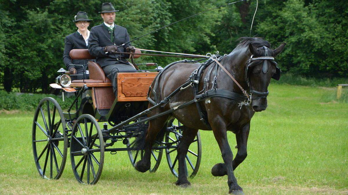 Hans-Peter Heidegger und Sonja Rebernik-Heidegger mit Norikerstute Manja Sarah bei der Landemeisterschaft in Rabnitztal bei Gleisdorf